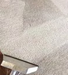 Freshly cleaned carpet